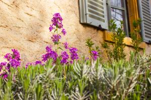 B&B / Chambres d'hotes Aux Ronzieres : photos des chambres