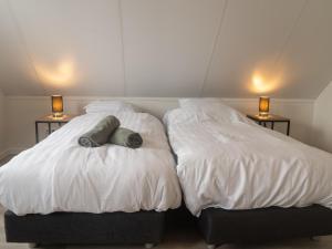 Lakeview villa with swimming and fishing pier