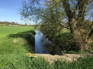 Domaine du Moulin de Champie - Plaine de Versailles