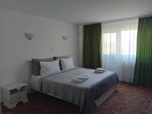 Pensiunea Paradis Vrâncean