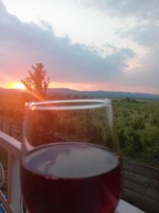 Pensiunea Paradis Vrâncean