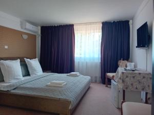 Pensiunea Paradis Vrâncean