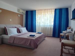 Pensiunea Paradis Vrâncean