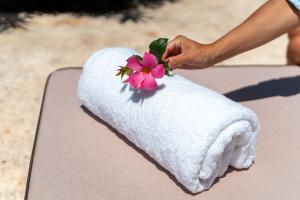 Trullo dellOleandro - Le Corti del Silenzio