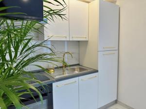 Apartment Teo with Terrace