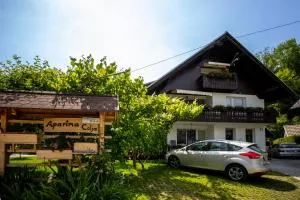 Apartmaji Colja - 博希尼