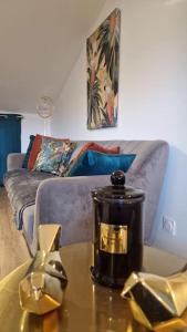 Appartements Jacuzzi spa jardin clim parking wifi Montauban : photos des chambres