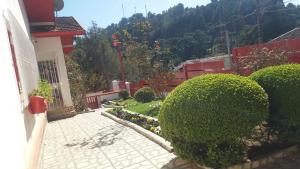 Hospedagem Virginia Bracelli