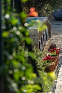 ROSA XVI - Garden Guest House