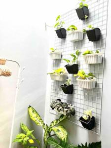 Kozy Haven - Wifi + AC