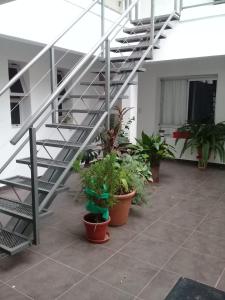 Departamento centrico monoambiente 1er piso nuevo sencillo Av Belgrano D5