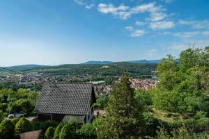 Maisons de vacances Le Grand Nichoir de la Colline - Parking - Wifi : photos des chambres