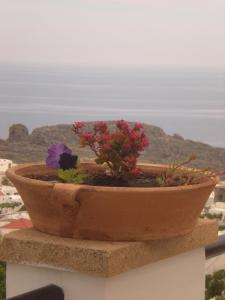 Chrysa Studios Rhodes Greece