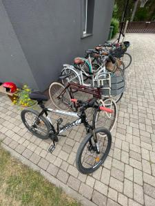 Randu klēts
