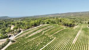 Maison Pipette Pipette Maison