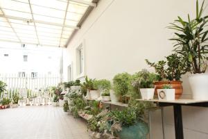 Ngoc Nguyen Anh Da Lat 2