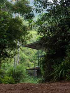 Kurunduketiya Private Rainforest Resort