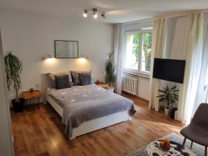 Apartament przy Stadionie Free Parking