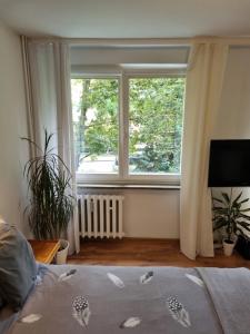 Apartament przy Stadionie Free Parking