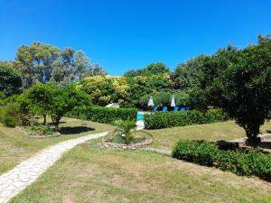 Lemontree Apartments