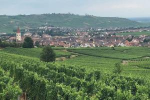 Maisons de vacances Maison a Kaysersberg : photos des chambres