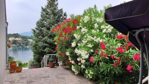 Studio apartman Kornelija