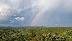 Bushwa Private Game Lodge