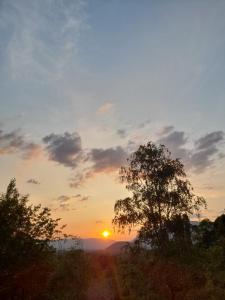 Chalets LACUSTRA : photos des chambres