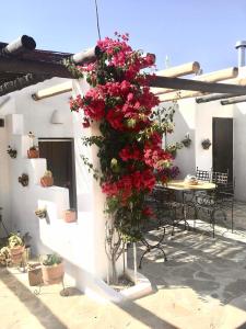 VILLA AURORA NÍJAR Parque Natural Cabo Gata