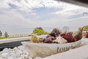 Goldene Ruh App 407 inkl WLAN