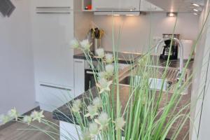 Wiesengrund 12-14 Whg 4 inkl WLAN