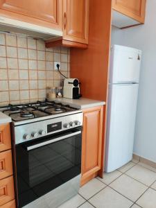 The Fig Tree - Deluxe Studio