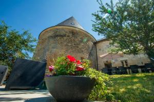 Maisons de vacances Gites avec piscine au Chateau de Charbogne : photos des chambres