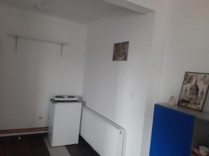 Prostrani apartman Cacak