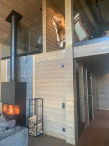 Skarvruet Lodge Funäsdalen