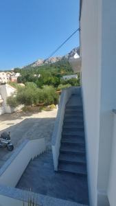 Apartman i Sobe Vasilić 