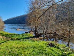 Chalets Le Chalet de la Dordogne : photos des chambres