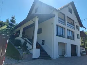 Vila vio - Băile Borşa