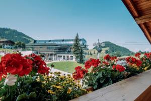 Alpengasthof Hochsöll