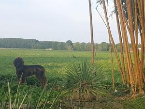 Countryside - Experience