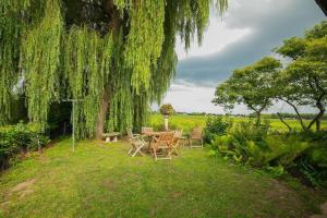 Countryside - Experience