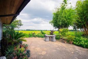 Countryside - Experience