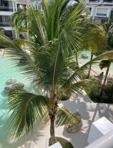Luxury Apartment Dominicus