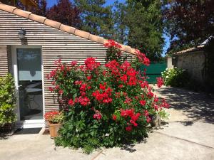 B&B / Chambres d'hotes LE CLOS DE LA HOURSERIE : photos des chambres