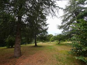 Maisons de vacances L'Esquirou du Secadou : photos des chambres