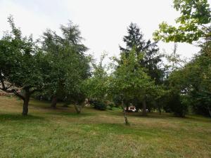 Maisons de vacances L'Esquirou du Secadou : photos des chambres
