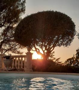 Gîte LES PINS climatisé piscine jardin parking