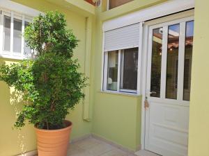 Vickys place,near Athens airport