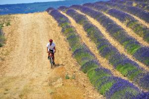 Villages vacances VVF Drome Provence : photos des chambres