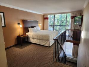 Family Studio room in Four Points by Sheraton Little Rock Midtown